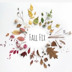 Welcome to Fall Fix